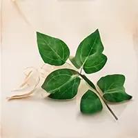 香り