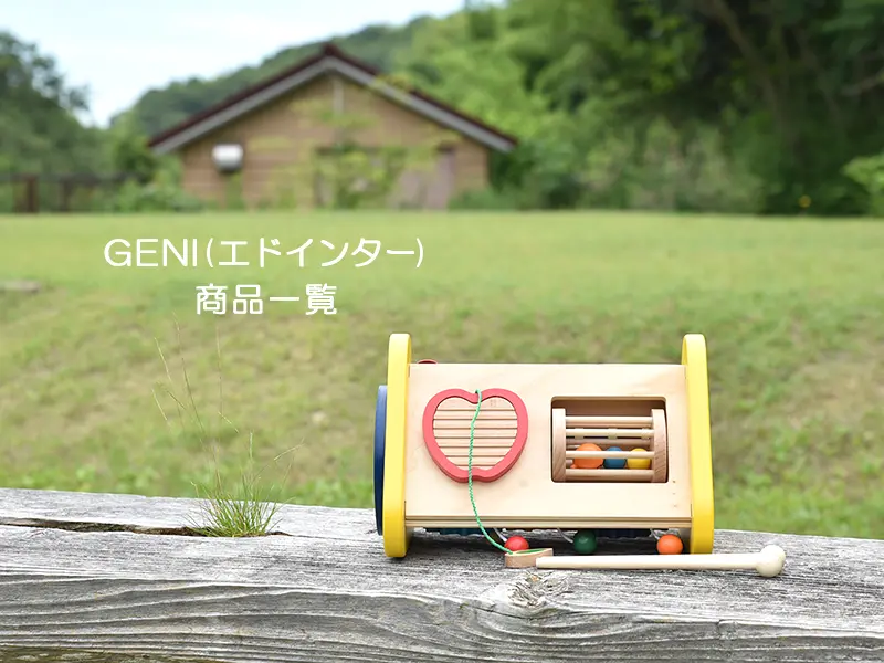 GENI(エドインター)