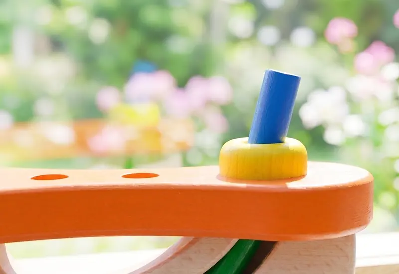 オレンジカーペンター｜NIC