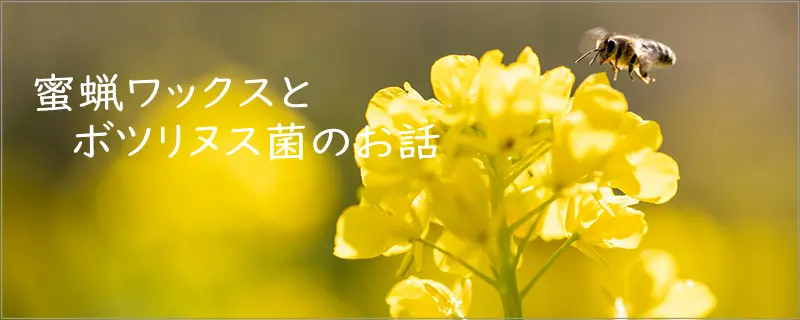 蜜蝋ワックスとボツリヌス菌について