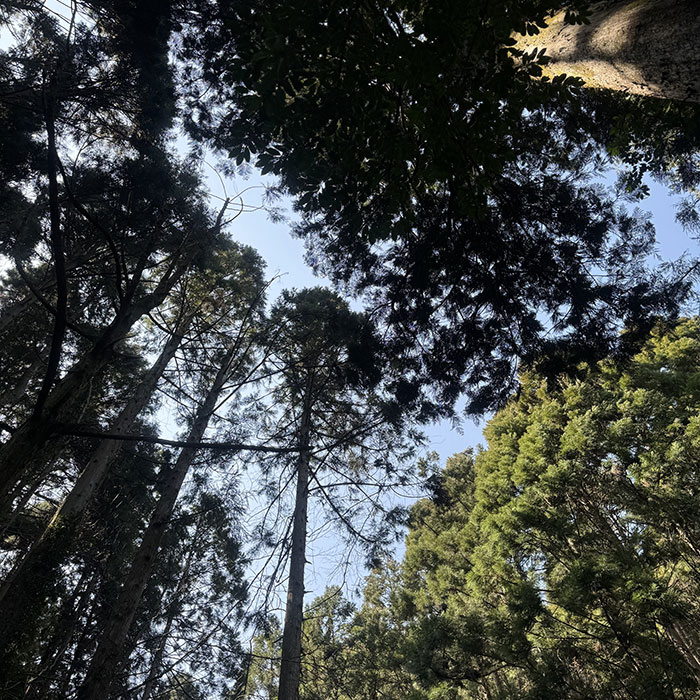 パワースポット