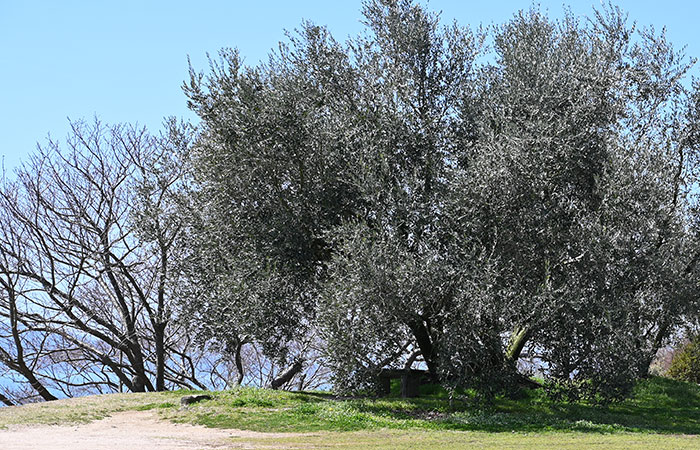 春の陽気と保育園児