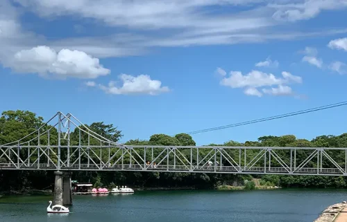 木のおもちゃ屋ためらう