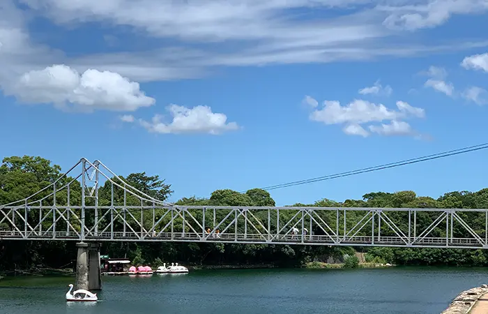木のおもちゃ屋ためらう