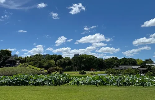 夏おわる
